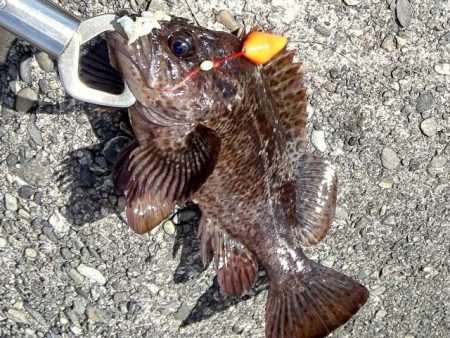 スーパーライトゲーム